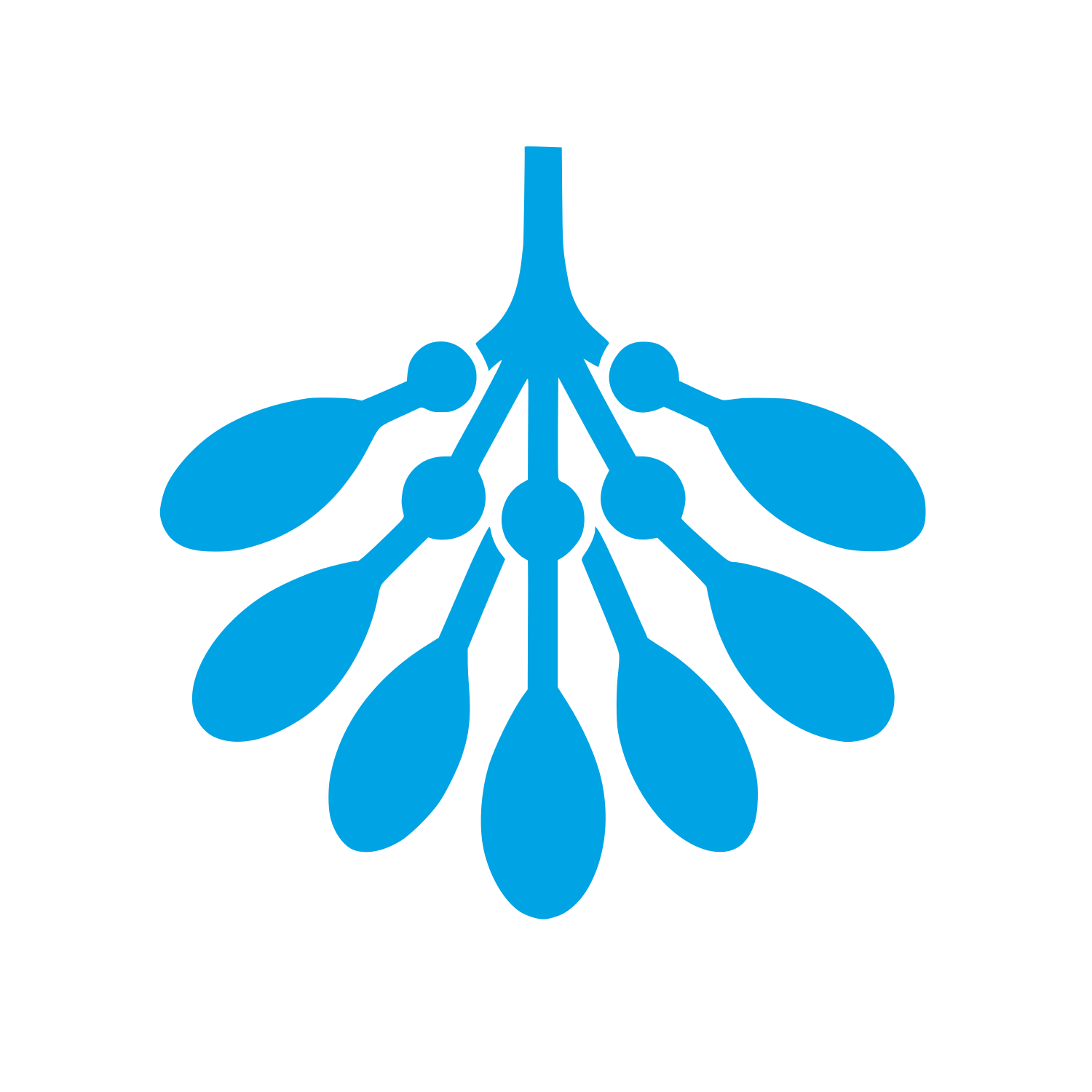 Mistletoe Berries Logo #00a3e4