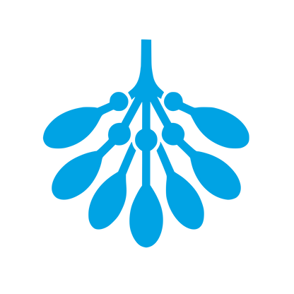 Mistletoe Berries Logo #00a3e4