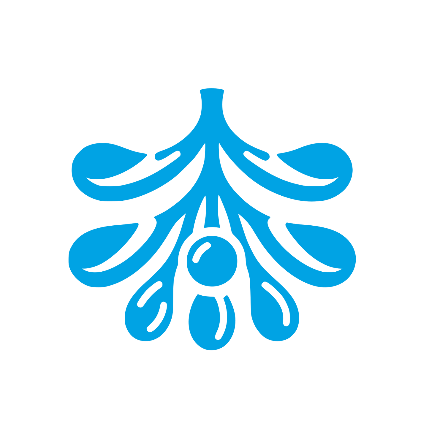 Mistletoe Olive Logo #00a3e4