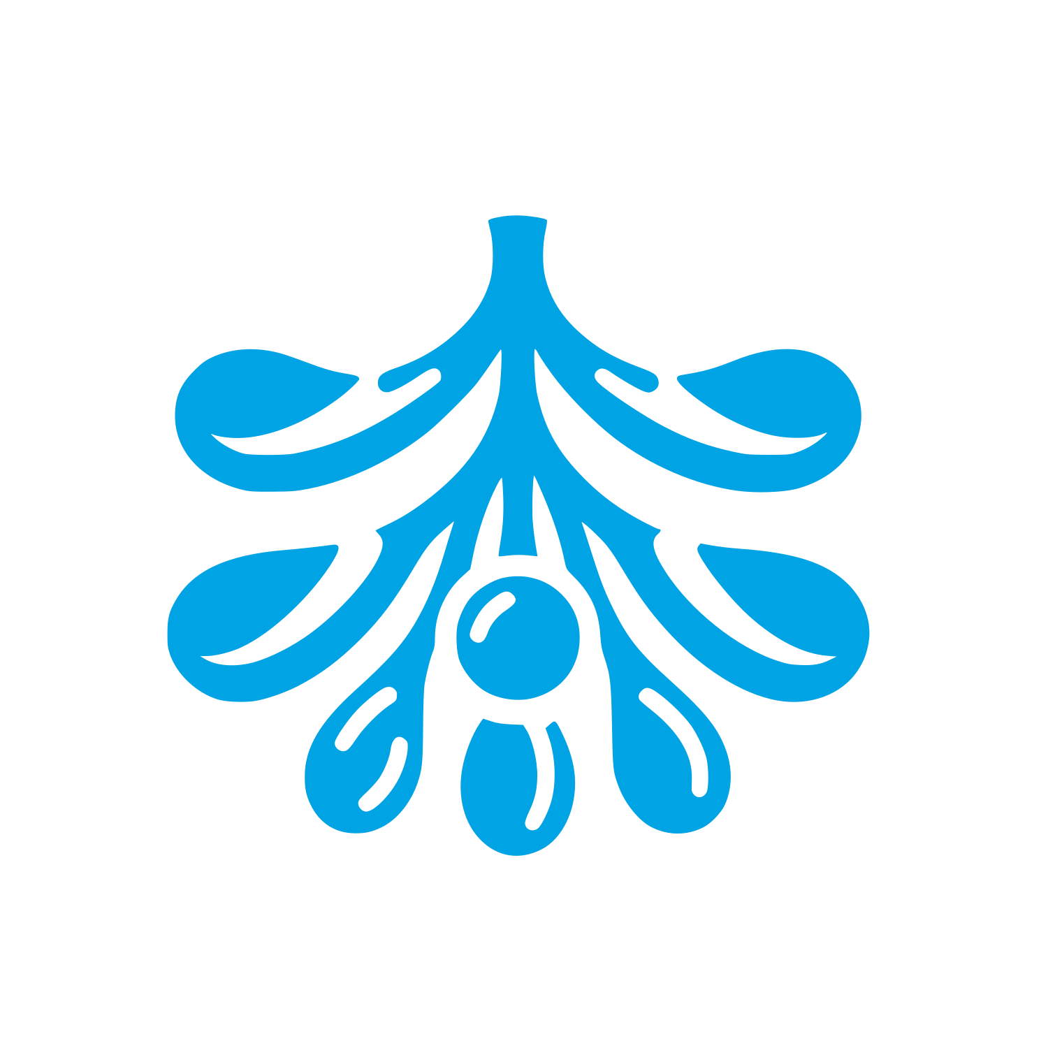Mistletoe Olive Logo #00a3e4