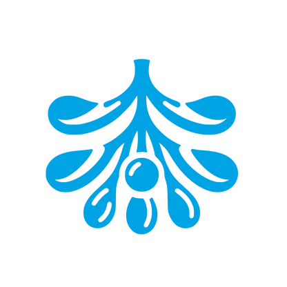 Mistletoe Olive Logo #00a3e4