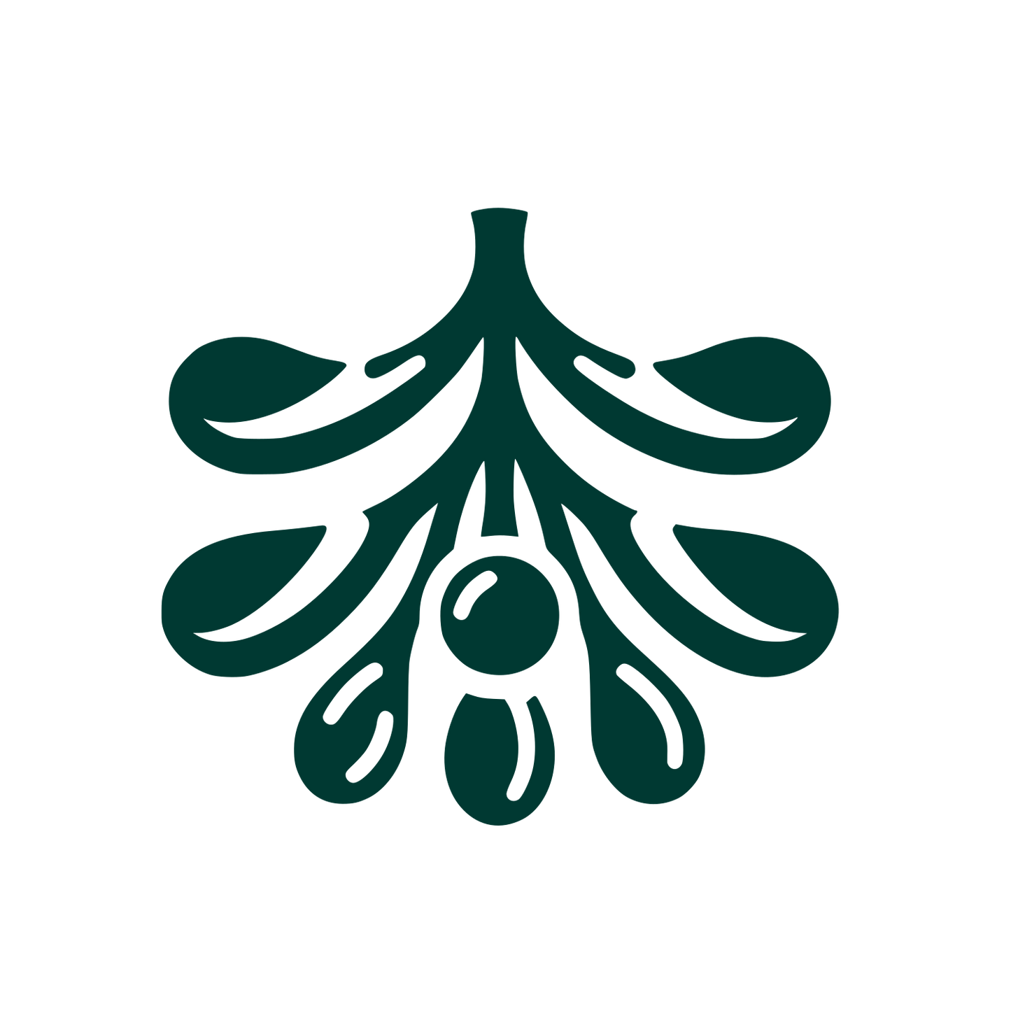 Mistletoe Olive Logo #003932