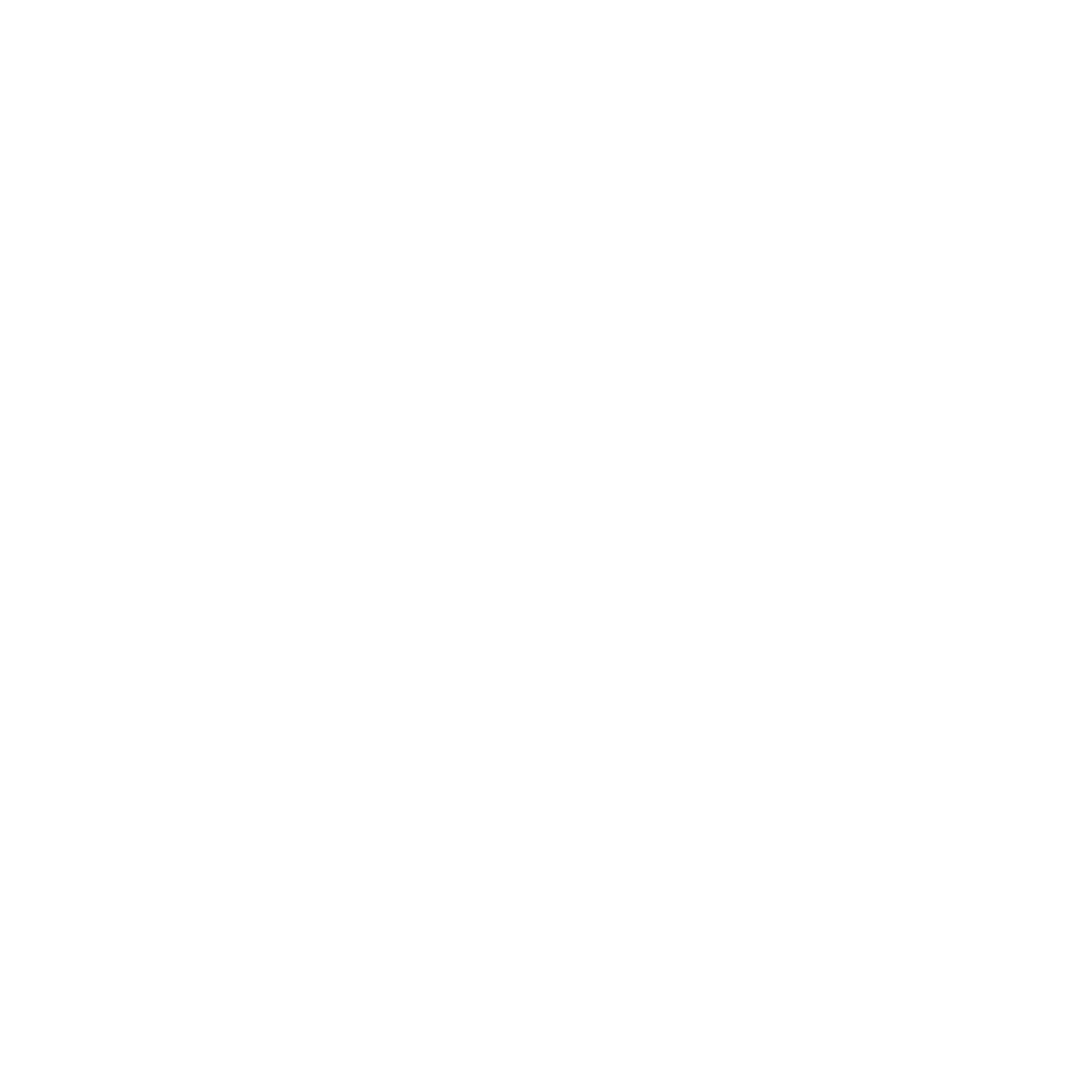Yin Yang Logo #ffffff