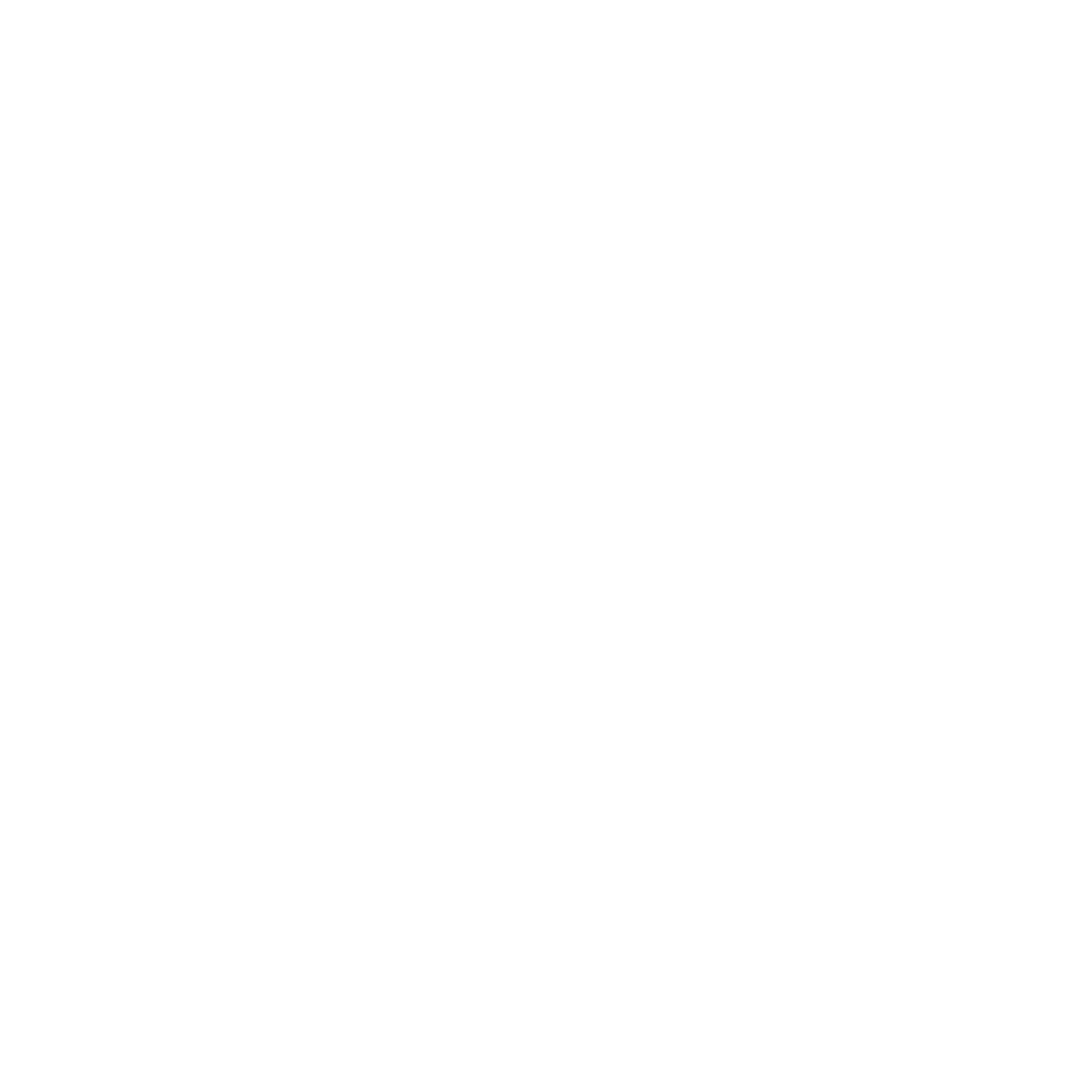 Plug Logo #ffffff