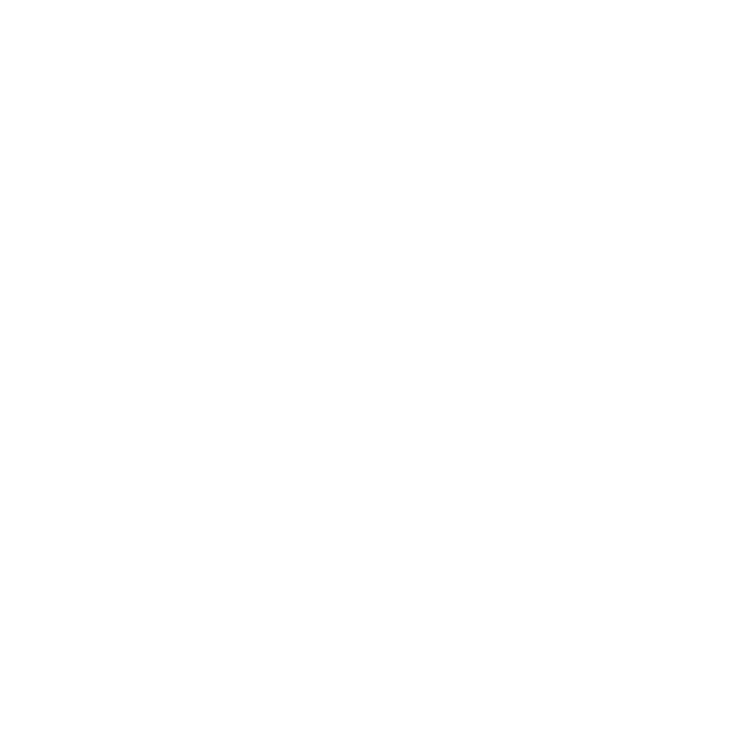 Mop Brush Logo #ffffff