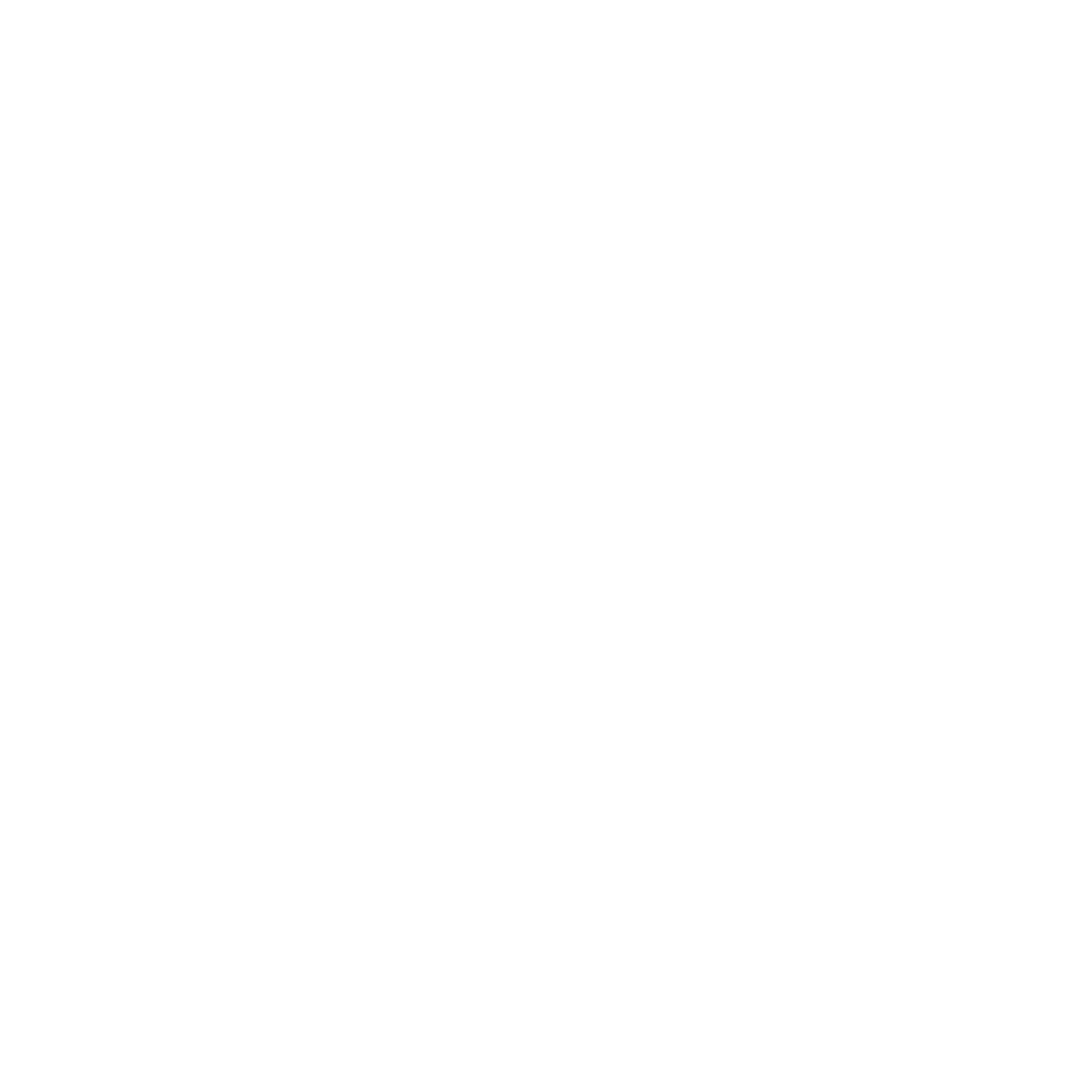 Needle Logo #ffffff