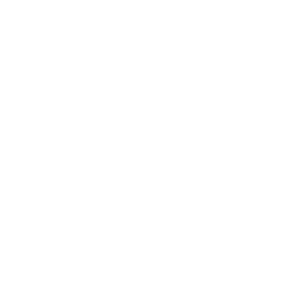 Needle Logo #ffffff
