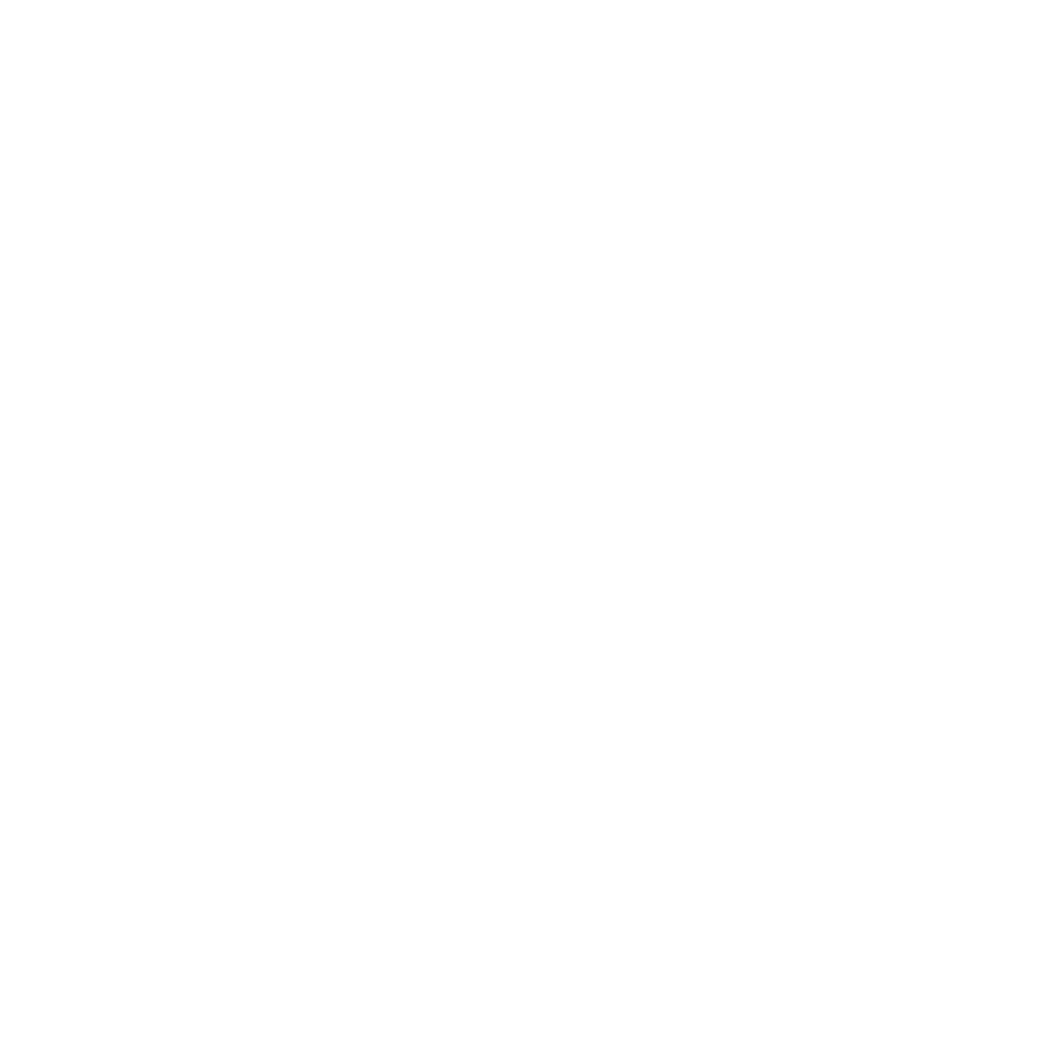 Needle Logo #ffffff