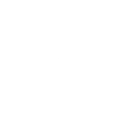 Needle Logo #ffffff