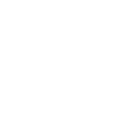 Rocket Logo #ffffff