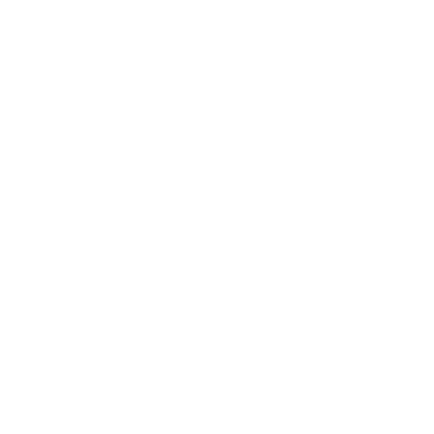Needle Pin Logo #ffffff