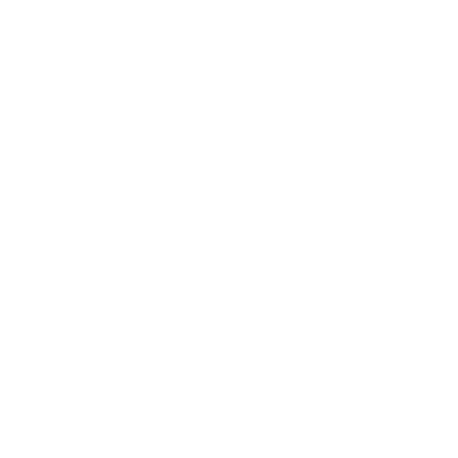 Needle Pin Logo #ffffff