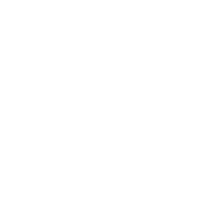Simplified Plant Logo #ffffff