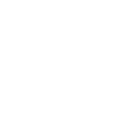 Olive Branch Minimalist Logo #ffffff