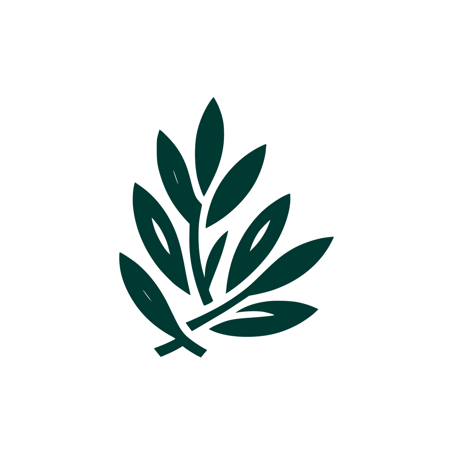 Olive Branch Minimalist Logo #003932