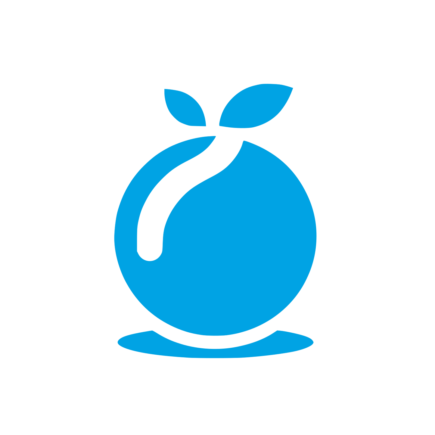 Orange Fruit Logo #00a3e4