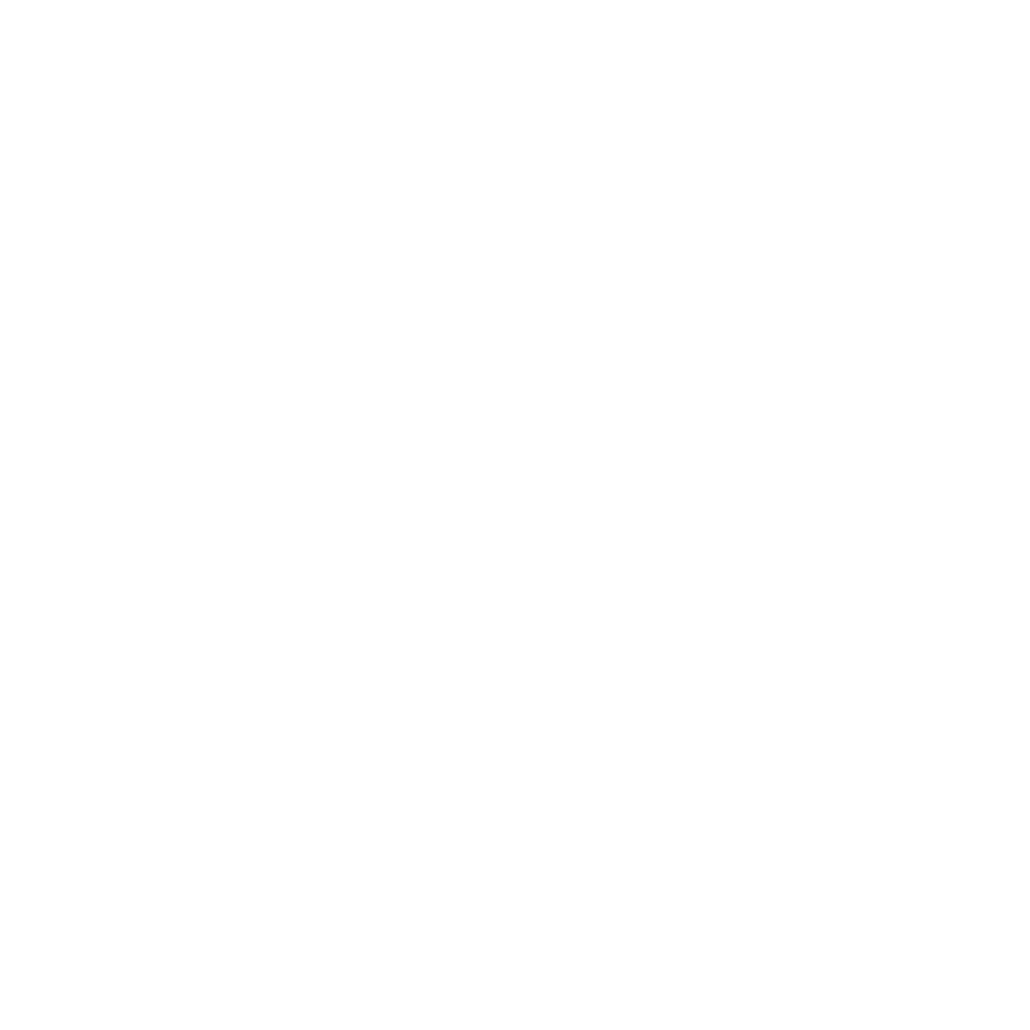 Orange Fruit Logo #ffffff