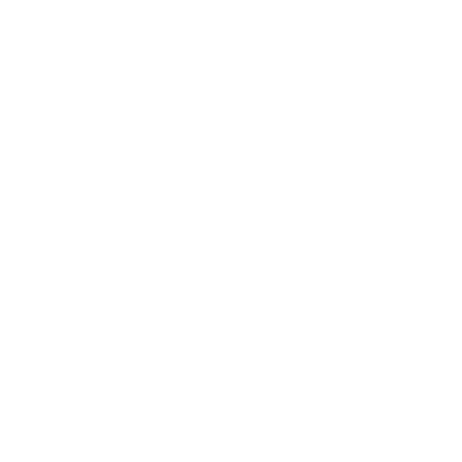 Social Media Logo #ffffff
