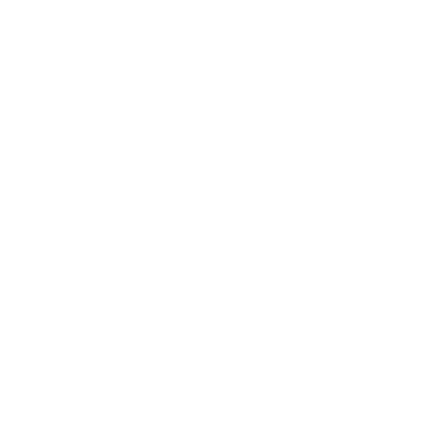 Mountain Fast Movement Logo #ffffff