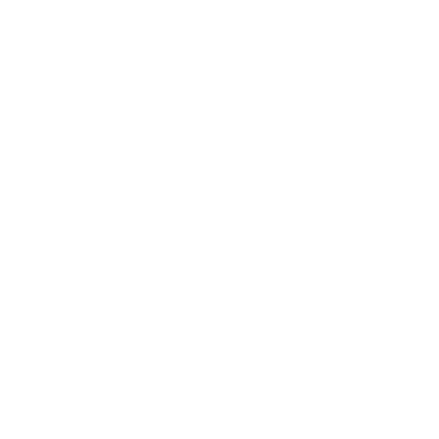 Tech Head Logo #ffffff