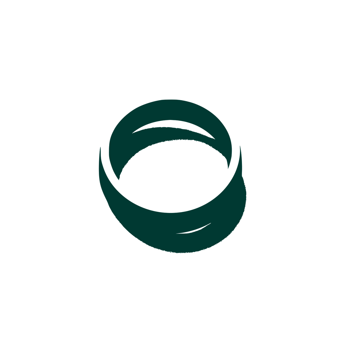 Ring Contrast Logo #003932
