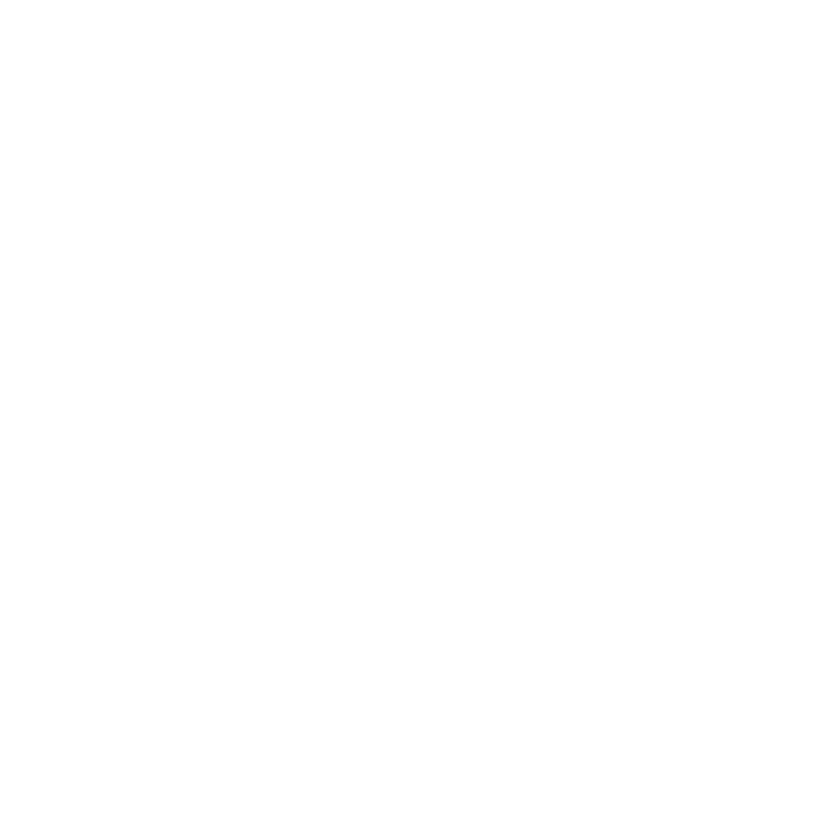 Saddle Wave Logo #ffffff