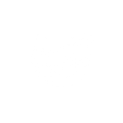 Saddle Wave Logo #ffffff