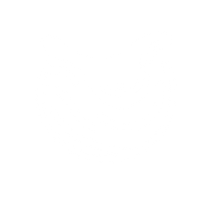 Saddle Wave Logo #ffffff
