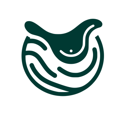 Saddle Wave Logo #003932