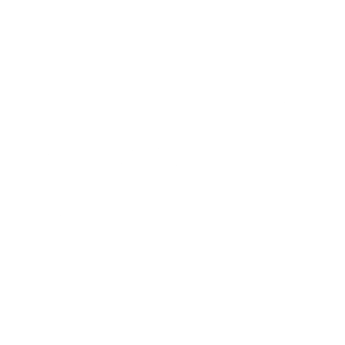 Saddle Wave Logo #ffffff