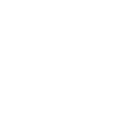 Saddle Wave Logo #ffffff