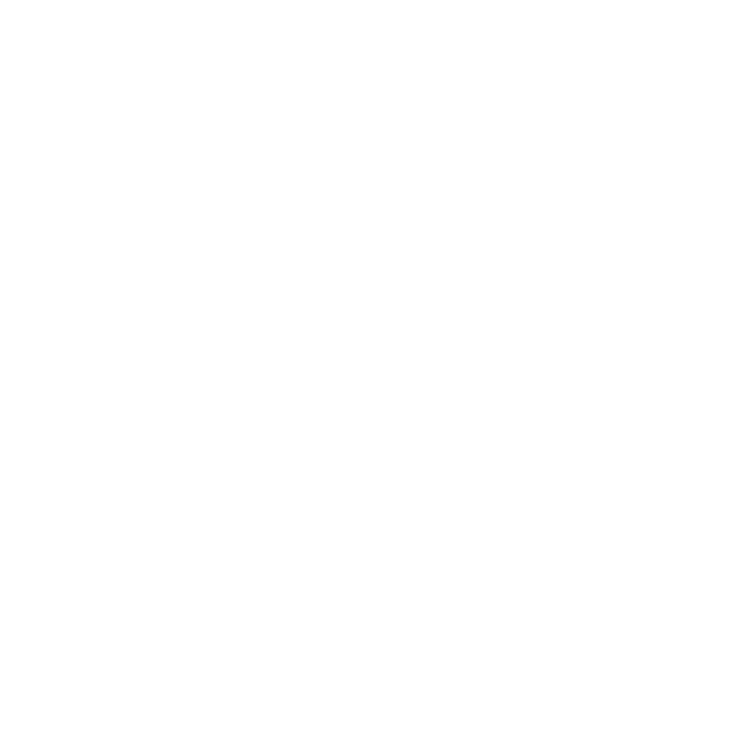 Night Mountains Logo #ffffff