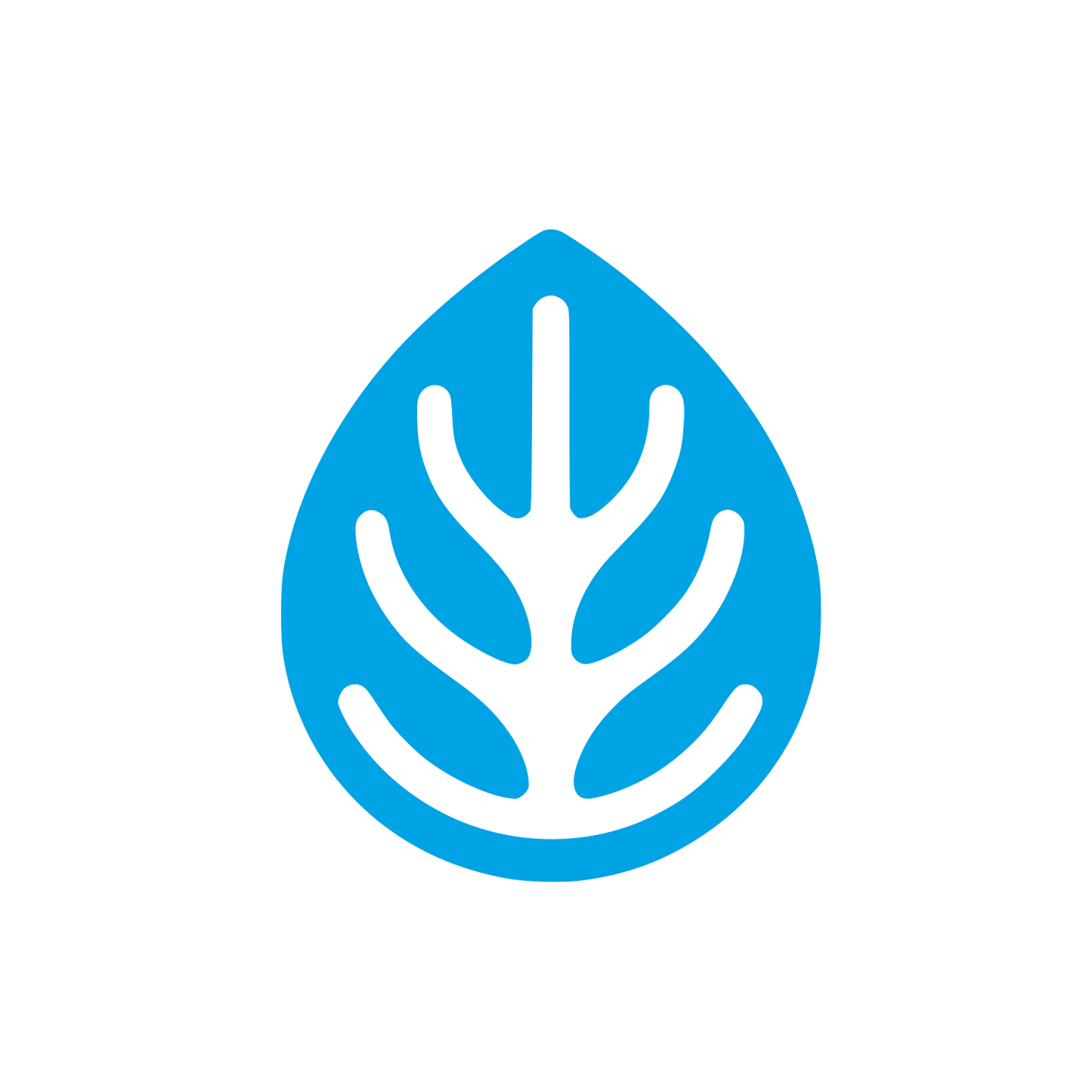 Leaf Pattern Logo #00a3e4