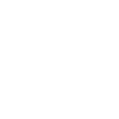 Decorative Skull Logo #ffffff