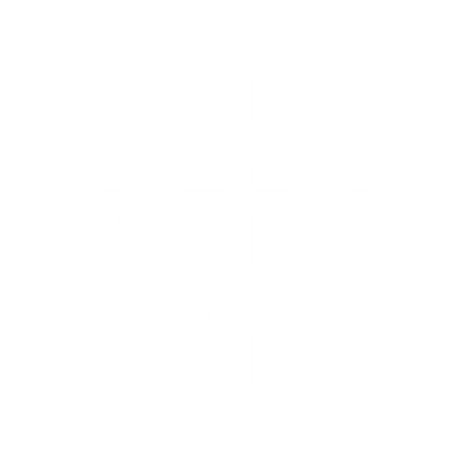 Abstract Skull Logo #ffffff