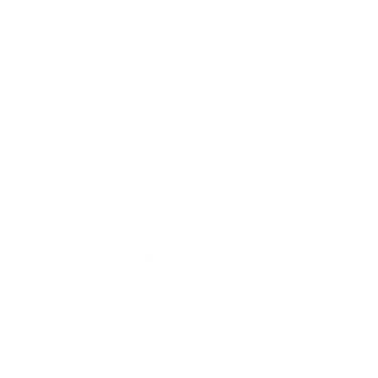 Abstract Skull Logo #ffffff