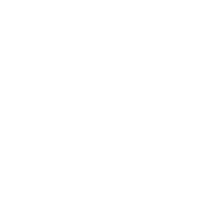 Skull Logo Design #ffffff