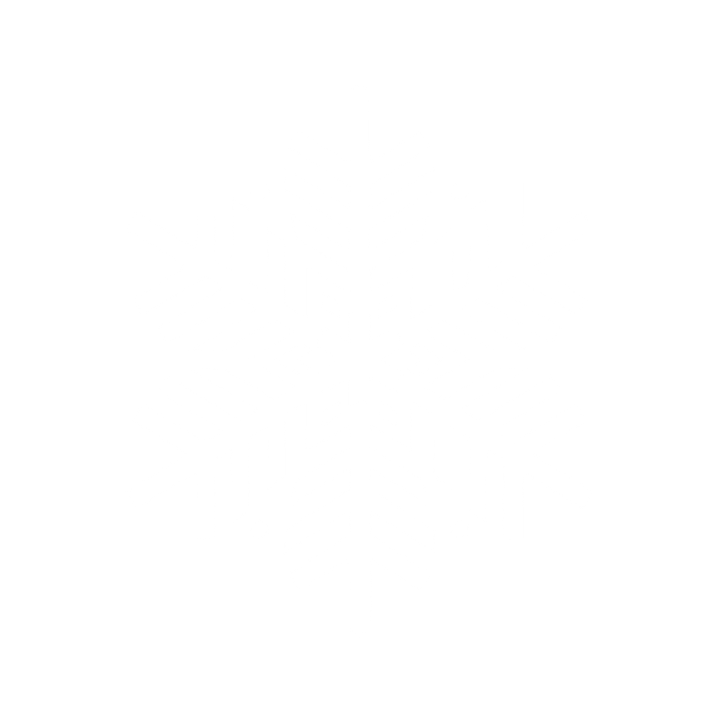 Snowflake Logo #ffffff