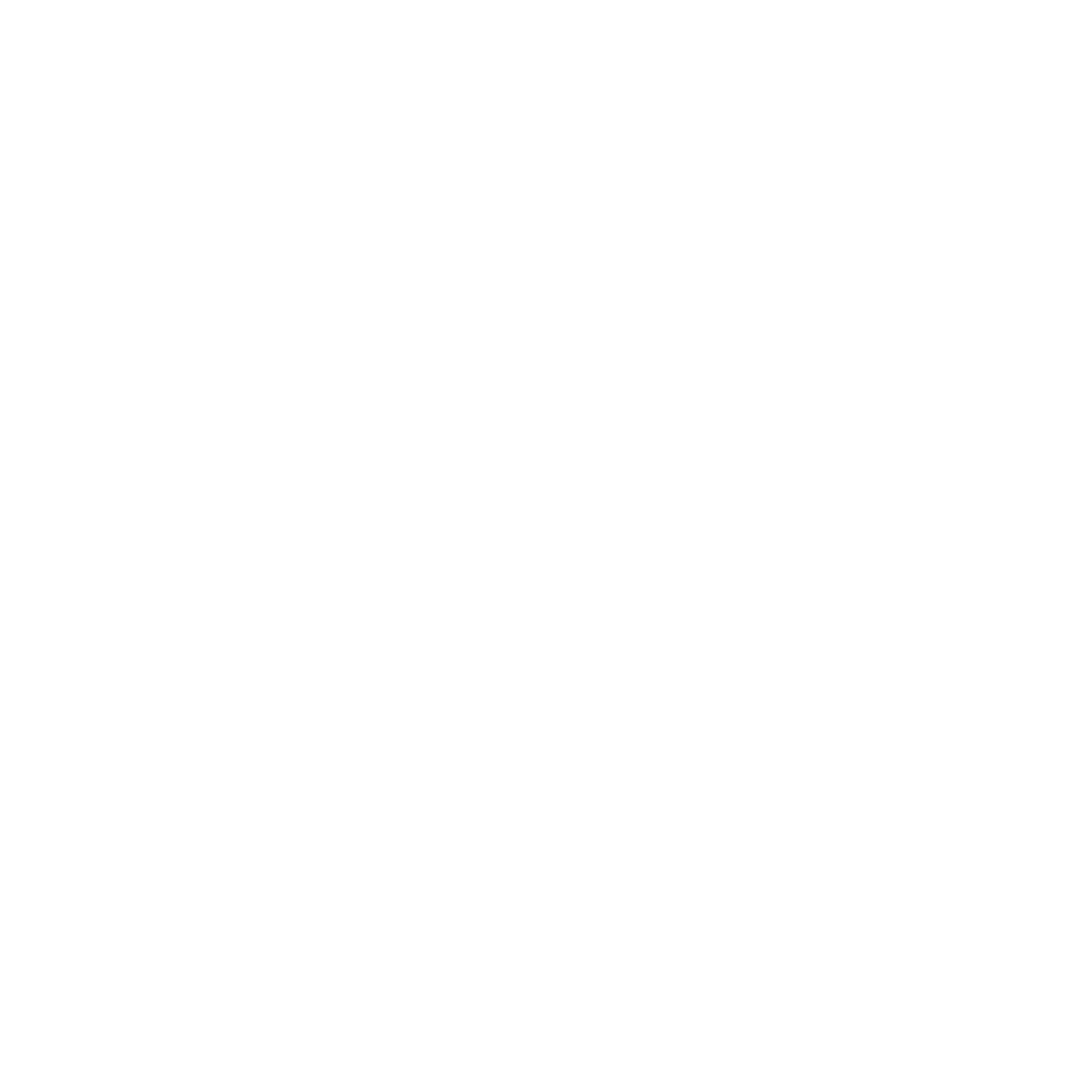 Snowflake Logo #ffffff