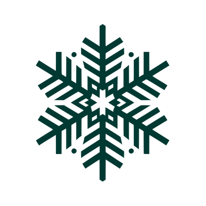 Snowflake Logo #003932