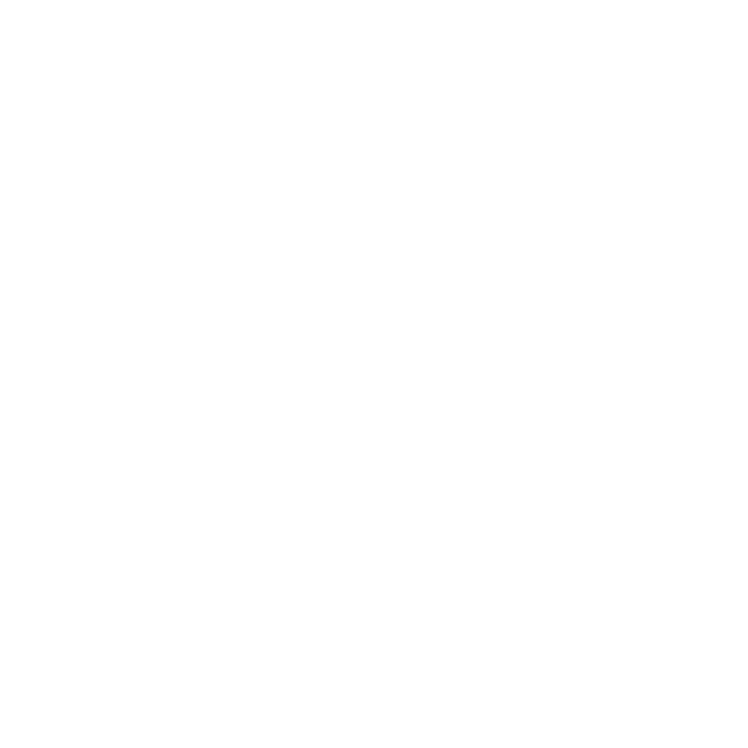 Snowflake Logo #ffffff