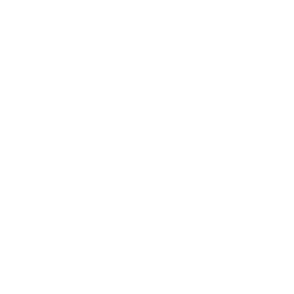 Snowflake Logo #ffffff