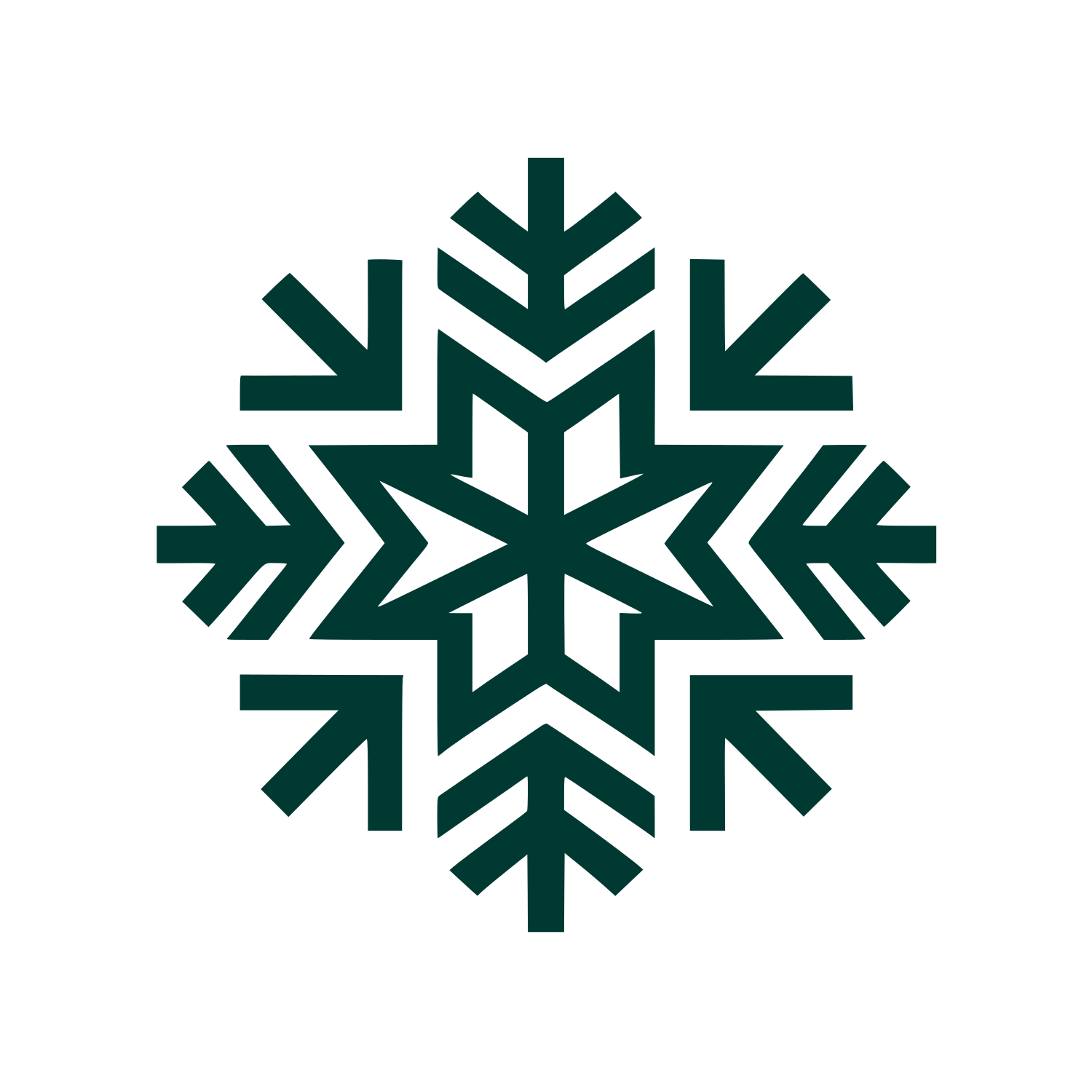 Snowflake Geometric Logo #003932