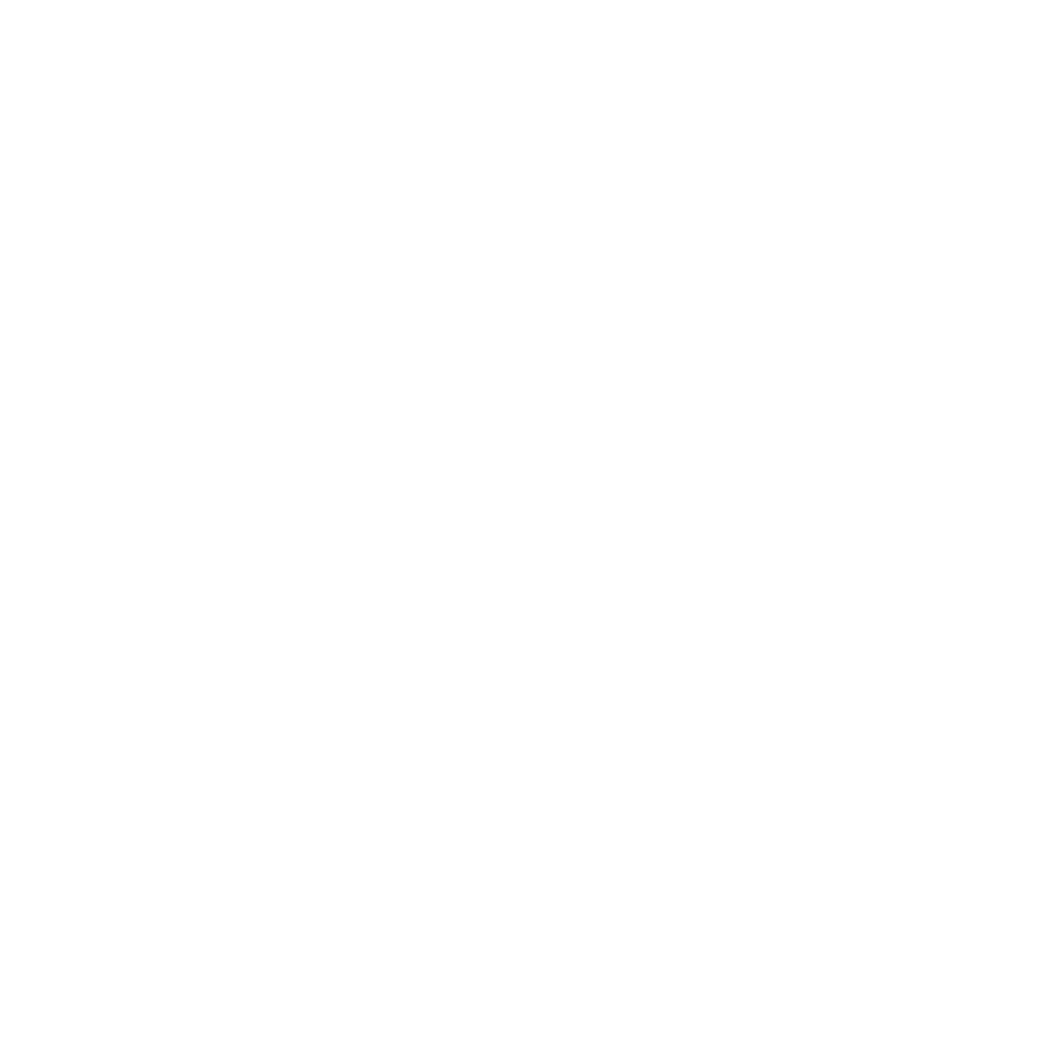 Symmetric Snowflake Logo #ffffff