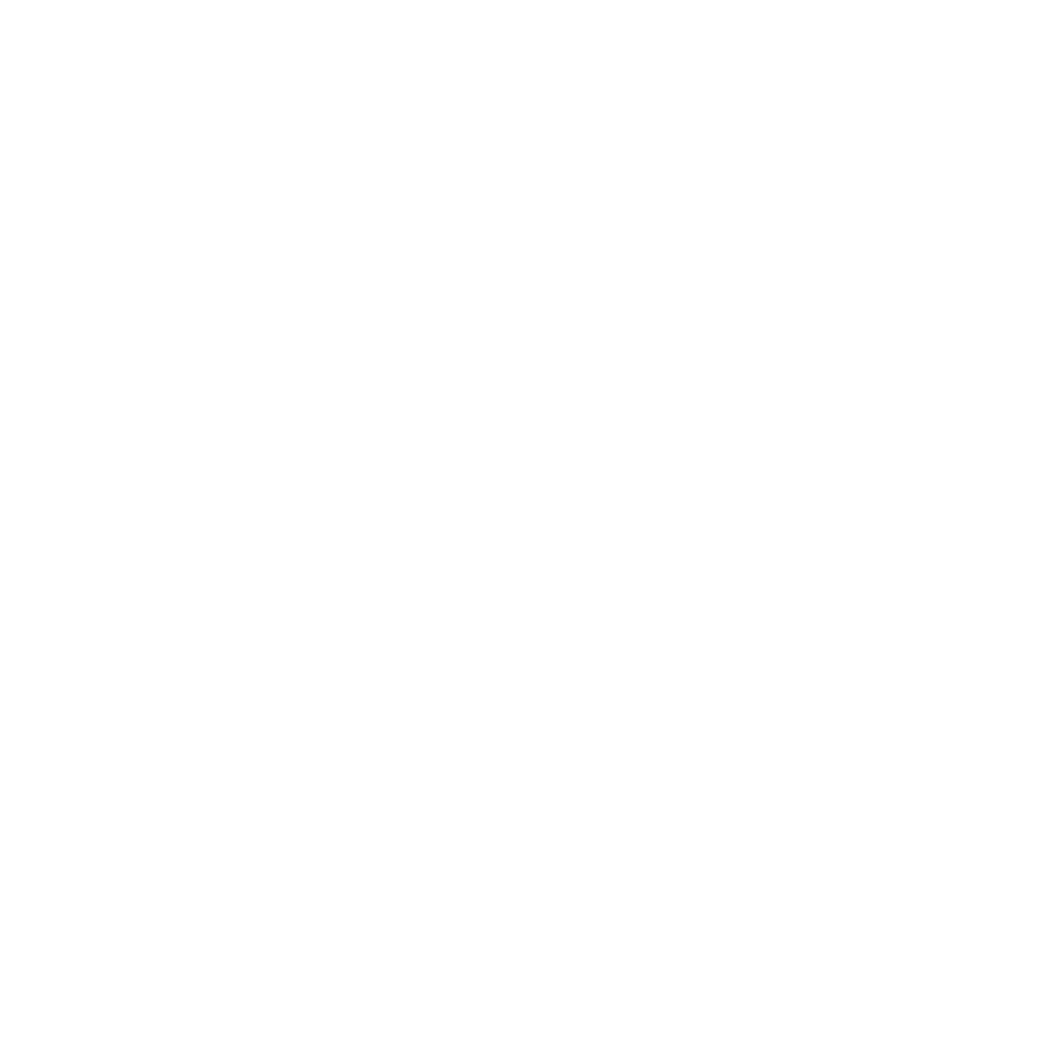 Spider Web Logo #ffffff