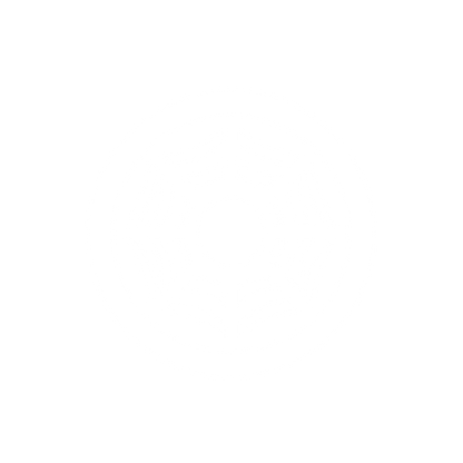 Spider Web Logo #ffffff