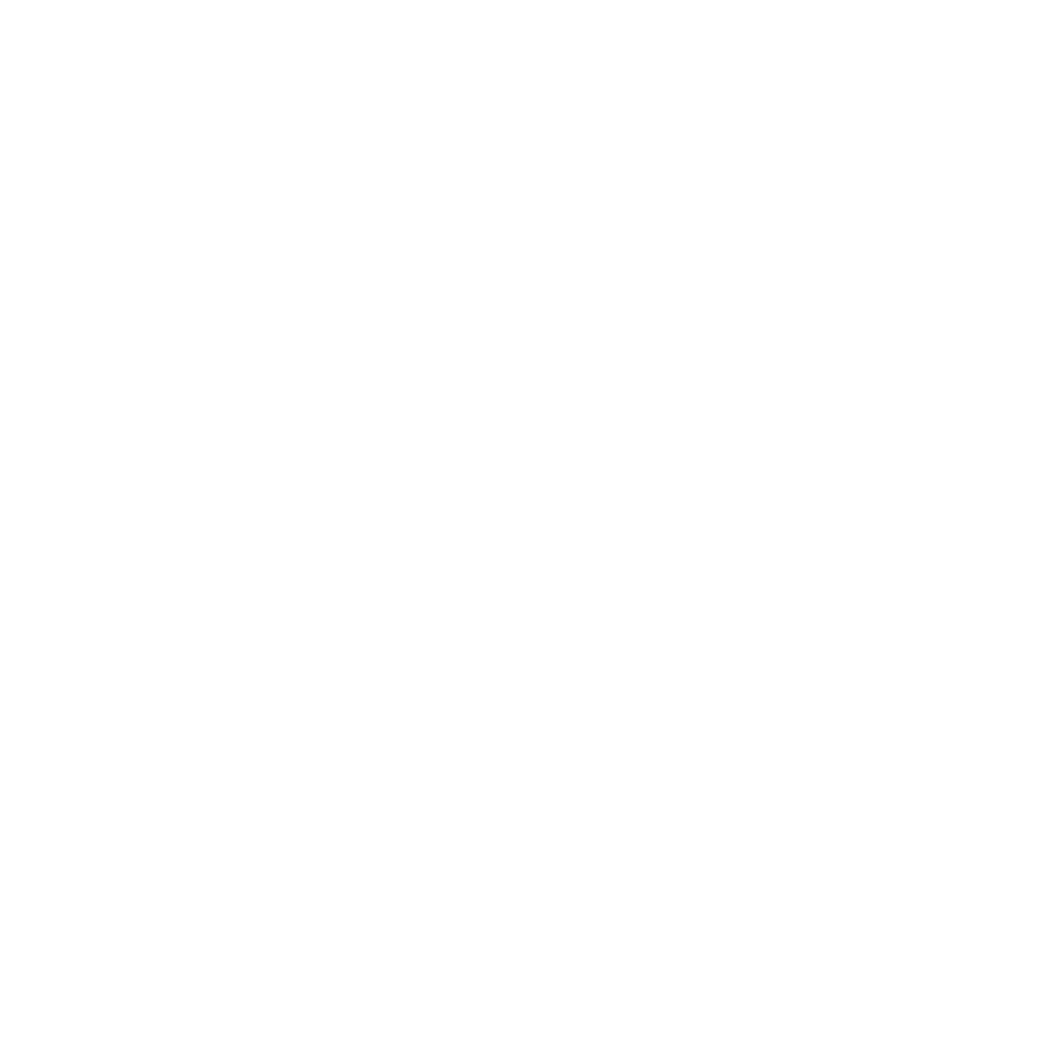 Spider Web Logo #ffffff