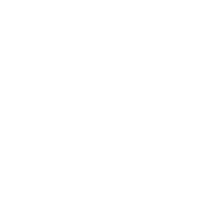 Spider Web Logo #ffffff