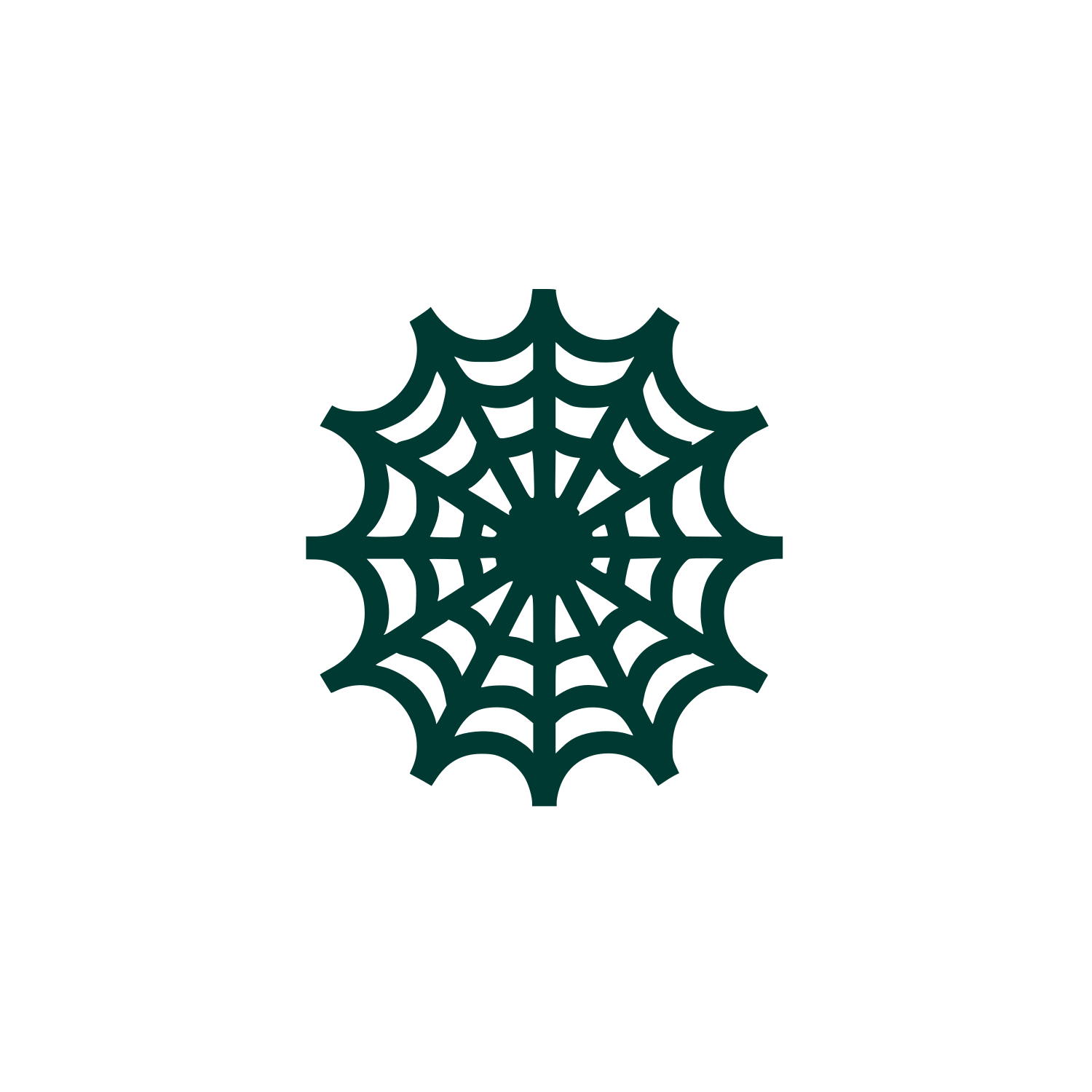 Spider Web Logo #003932