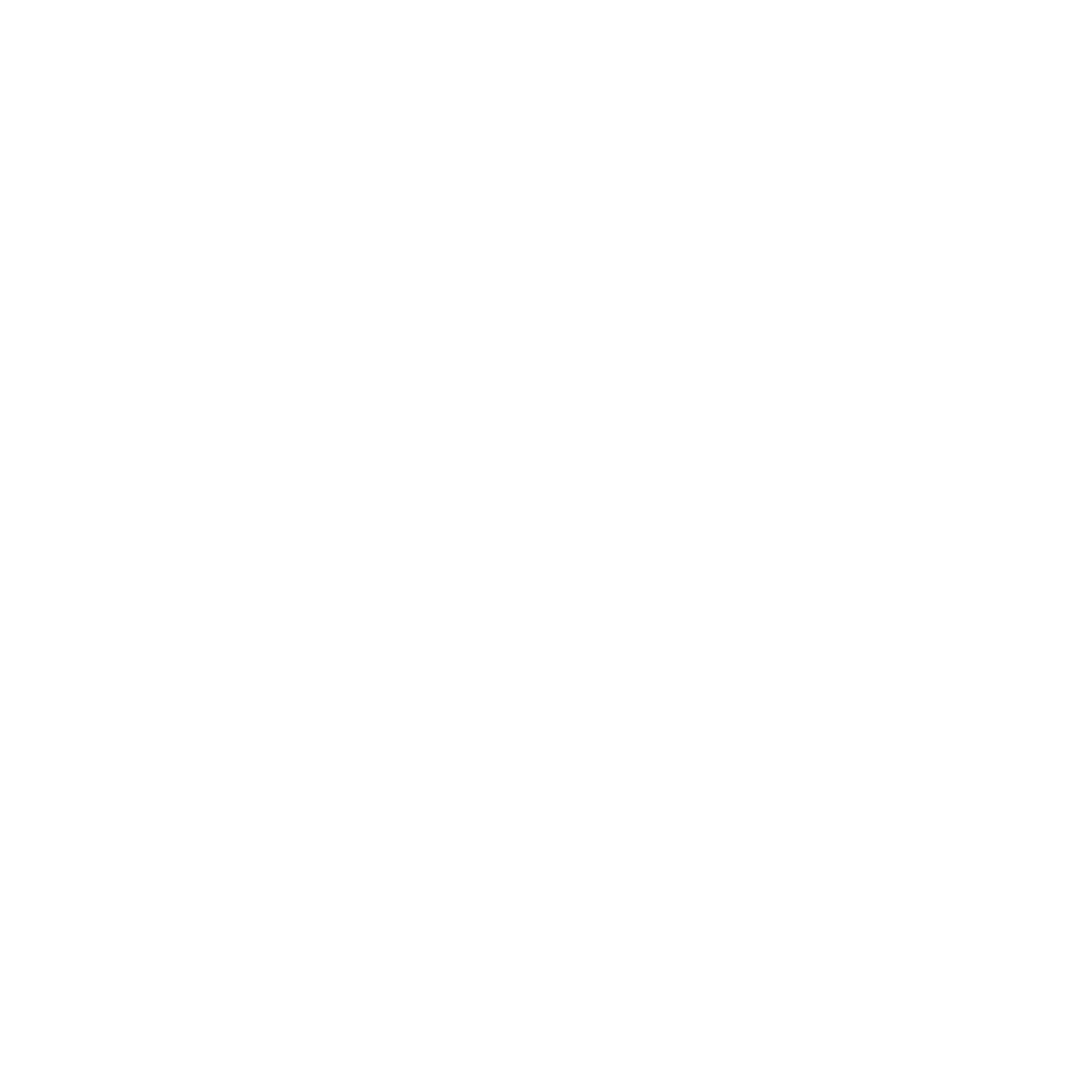 Web Spider Logo #ffffff